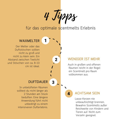 Scentmelt ‘Fresh Red Apple Garden‘