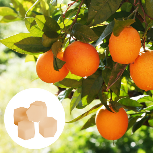 Scentmelt ‘Sunset Sweet Oranges‘